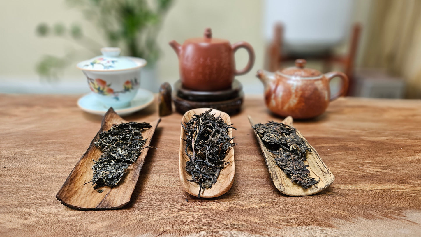 Friday Afternoon Tea Sit - June 5th